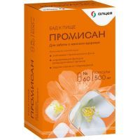 Промисан капс. 500мг №60 Внешторг Фарма/Россия