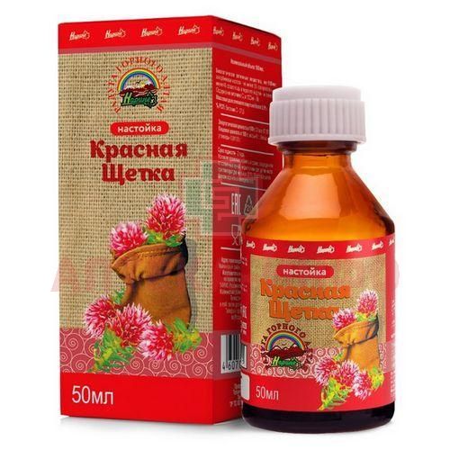 Лапчатка Красная Щетка