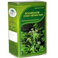 Болиголов (омег пятнистый) трава 50г Компания Хорст/Россия