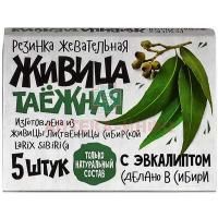 Жевательная резинка ЖИВИЦА ТАЕЖНАЯ эвкалипт №5 Зеленый доктор