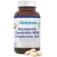 Авиценна Глюкозамин Хондроитин МСМ и Гиуалуроновая к-та таб. №60 Aksu Vital Dogal Urunler Gida/Турция