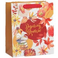 Пакет ламинированный "Дорогому учителю", 27х23х11.5см 1шт