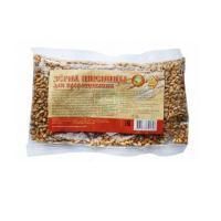 Зерно для проращивания пак. 170г пшеница (СибТар/Россия)