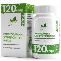 Глюкозамин+Хондроитин с МСМ NaturalSupp капс. №60 Натуральные добавки/Россия
