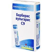 Берберис вульгарис С9 гран. 4г Laboratoires Boiron/Франция