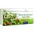 Толокнянки листья пак.-фильтр 1,5г №20 Фитофарм/Россия